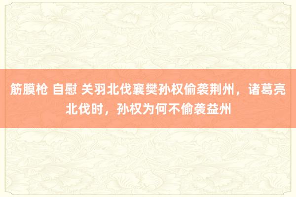筋膜枪 自慰 关羽北伐襄樊孙权偷袭荆州，诸葛亮北伐时，孙权为何不偷袭益州