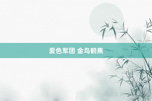 爱色军团 金鸟鹤蕉