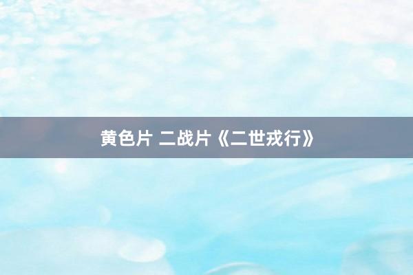 黄色片 二战片《二世戎行》