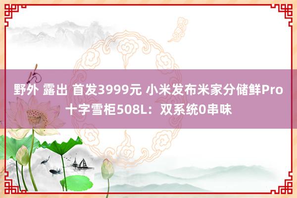 野外 露出 首发3999元 小米发布米家分储鲜Pro十字雪柜508L：双系统0串味