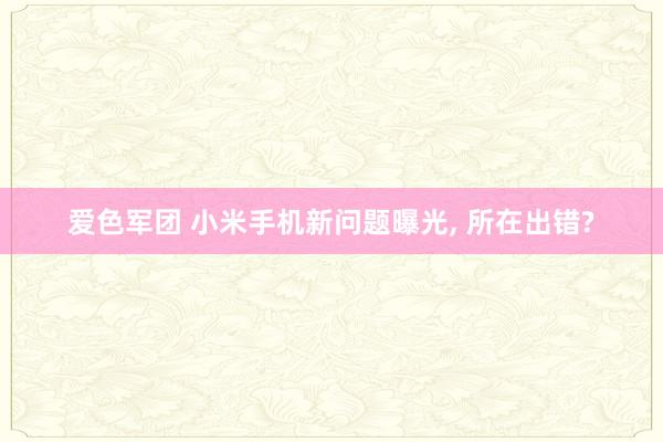 爱色军团 小米手机新问题曝光， 所在出错?