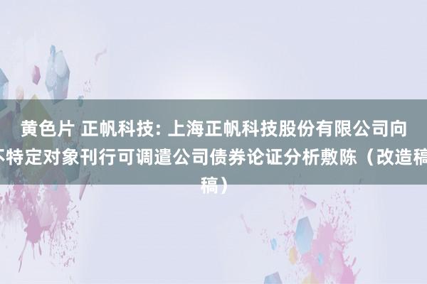 黄色片 正帆科技: 上海正帆科技股份有限公司向不特定对象刊行可调遣公司债券论证分析敷陈(改造稿)