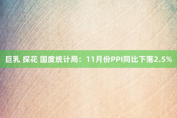 巨乳 探花 国度统计局：11月份PPI同比下落2.5%