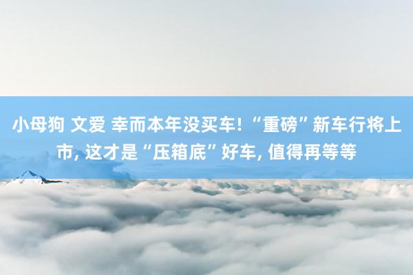 小母狗 文爱 幸而本年没买车! “重磅”新车行将上市， 这才是“压箱底”好车， 值得再等等
