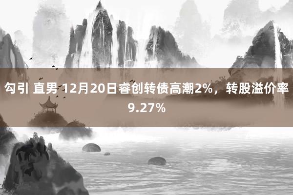 勾引 直男 12月20日睿创转债高潮2%，转股溢价率9.27%