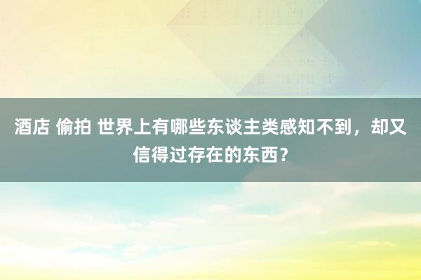 酒店 偷拍 世界上有哪些东谈主类感知不到，却又信得过存在的东西？