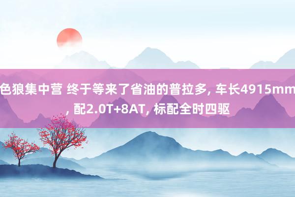色狼集中营 终于等来了省油的普拉多， 车长4915mm， 配2.0T+8AT， 标配全时四驱