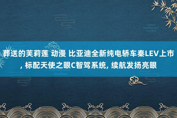 葬送的芙莉莲 动漫 比亚迪全新纯电轿车秦LEV上市， 标配天使之眼C智驾系统， 续航发扬亮眼