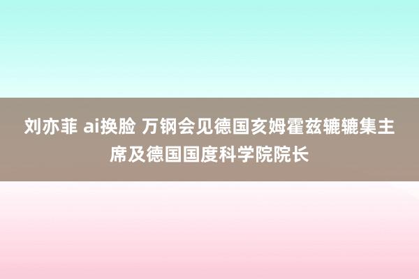 刘亦菲 ai换脸 万钢会见德国亥姆霍兹辘辘集主席及德国国度科学院院长