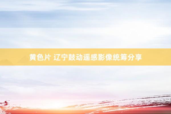 黄色片 辽宁鼓动遥感影像统筹分享