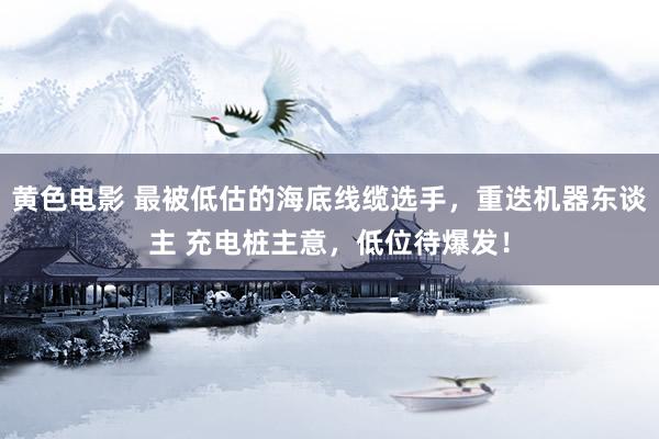 黄色电影 最被低估的海底线缆选手，重迭机器东谈主 充电桩主意，低位待爆发！