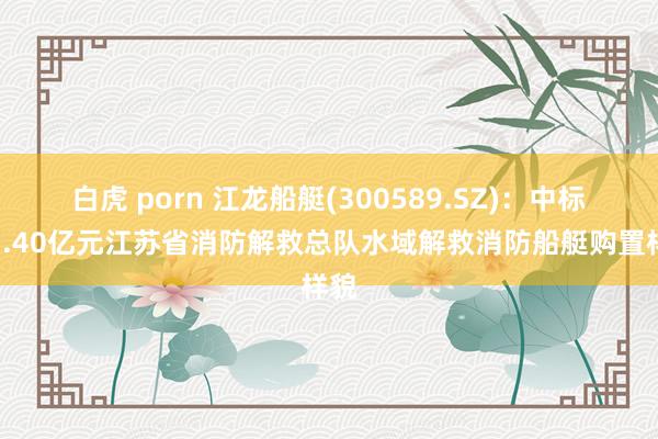 白虎 porn 江龙船艇(300589.SZ)：中标约1.40亿元江苏省消防解救总队水域解救消防船艇购置样貌