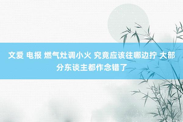 文爱 电报 燃气灶调小火 究竟应该往哪边拧 大部分东谈主都作念错了
