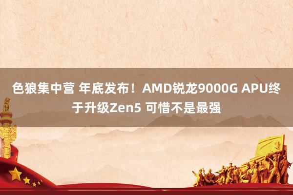 色狼集中营 年底发布！AMD锐龙9000G APU终于升级Zen5 可惜不是最强
