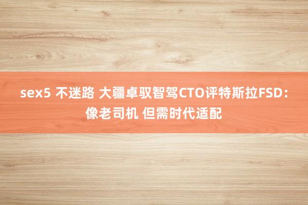 sex5 不迷路 大疆卓驭智驾CTO评特斯拉FSD：像老司机 但需时代适配