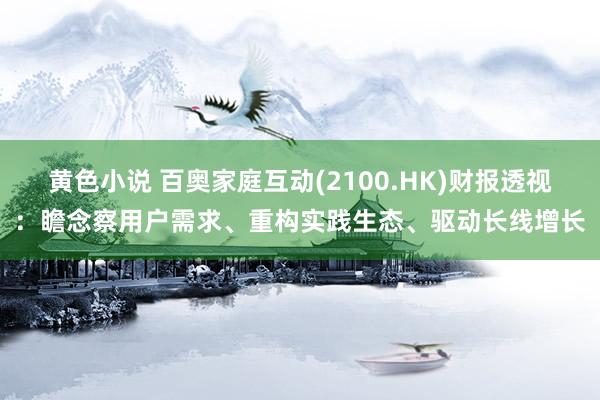 黄色小说 百奥家庭互动(2100.HK)财报透视：瞻念察用户需求、重构实践生态、驱动长线增长