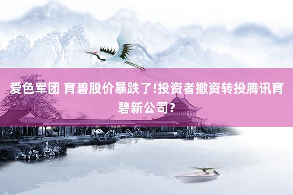 爱色军团 育碧股价暴跌了!投资者撤资转投腾讯育碧新公司？