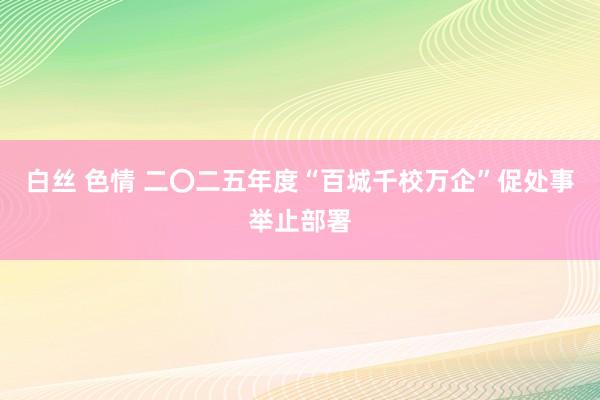 白丝 色情 二〇二五年度“百城千校万企”促处事举止部署