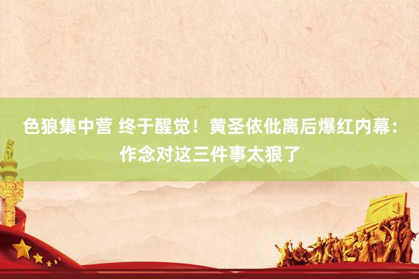 色狼集中营 终于醒觉！黄圣依仳离后爆红内幕：作念对这三件事太狠了