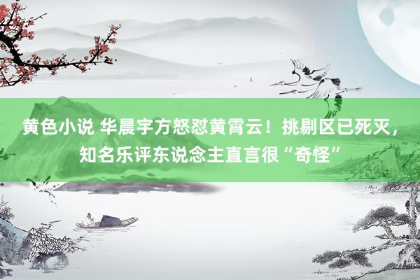 黄色小说 华晨宇方怒怼黄霄云！挑剔区已死灭，知名乐评东说念主直言很“奇怪”