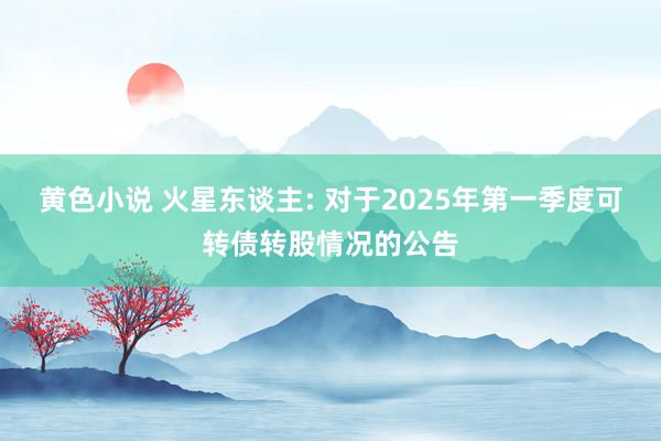 黄色小说 火星东谈主: 对于2025年第一季度可转债转股情况的公告