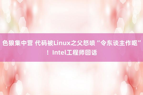 色狼集中营 代码被Linux之父怒喷“令东谈主作呕”！Intel工程师回话