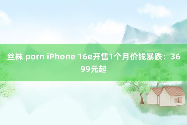 丝袜 porn iPhone 16e开售1个月价钱暴跌：3699元起