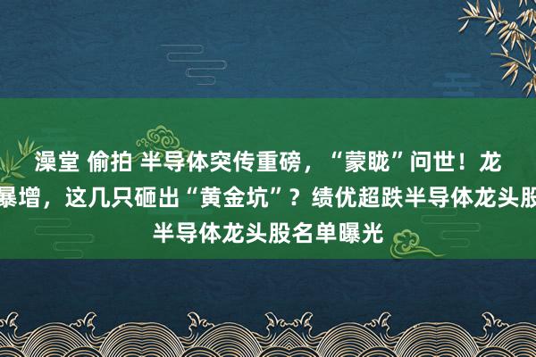 澡堂 偷拍 半导体突传重磅，“蒙眬”问世！龙头股事迹暴增，这几只砸出“黄金坑”？绩优超跌半导体龙头股名单曝光