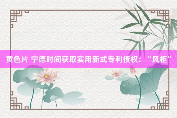 黄色片 宁德时间获取实用新式专利授权：“风柜”