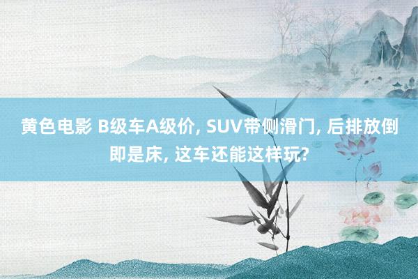 黄色电影 B级车A级价， SUV带侧滑门， 后排放倒即是床， 这车还能这样玩?