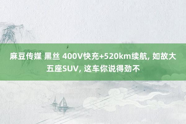 麻豆传媒 黑丝 400V快充+520km续航， 如故大五座SUV， 这车你说得劲不