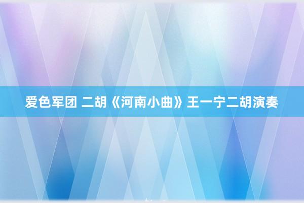 爱色军团 二胡《河南小曲》王一宁二胡演奏