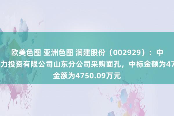欧美色图 亚洲色图 润建股份（002929）：中标华润新动力投资有限公司山东分公司采购面孔，中标金额为4750.09万元