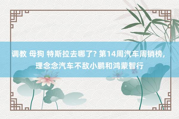 调教 母狗 特斯拉去哪了? 第14周汽车周销榜， 理念念汽车不敌小鹏和鸿蒙智行