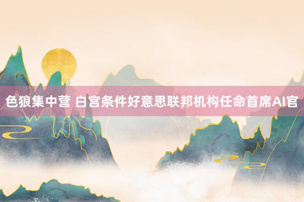 色狼集中营 白宫条件好意思联邦机构任命首席AI官