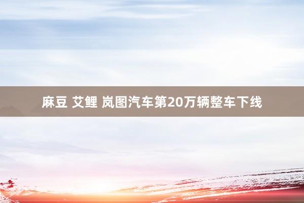 麻豆 艾鲤 岚图汽车第20万辆整车下线