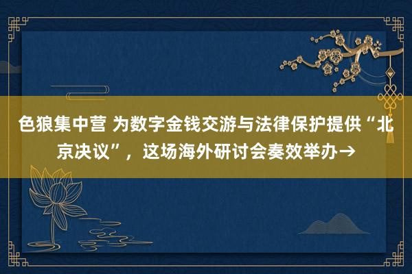 色狼集中营 为数字金钱交游与法律保护提供“北京决议”，这场海外研讨会奏效举办→