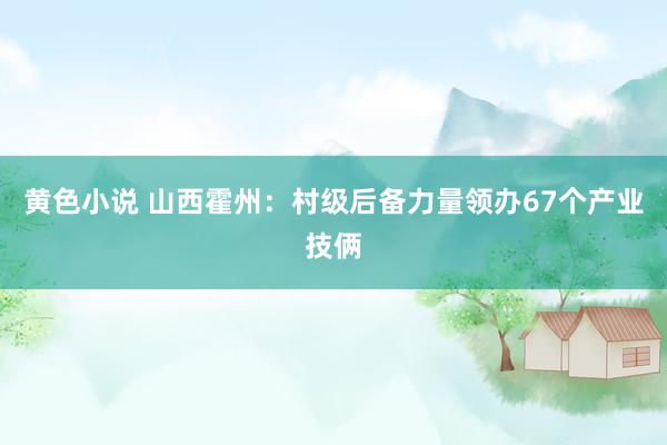 黄色小说 山西霍州：村级后备力量领办67个产业技俩