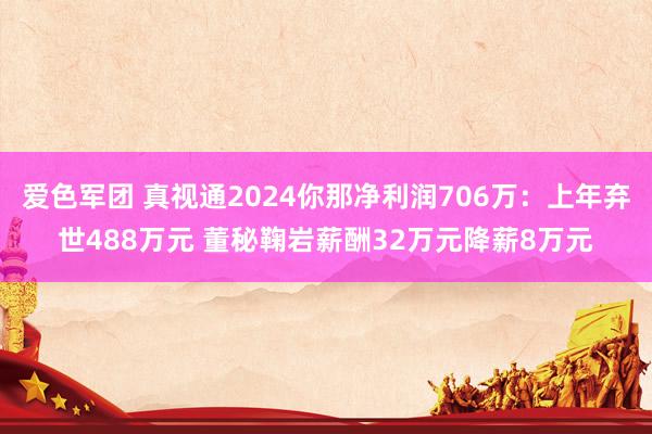 爱色军团 真视通2024你那净利润706万：上年弃世488万元 董秘鞠岩薪酬32万元降薪8万元