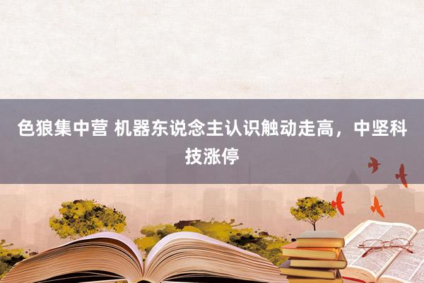 色狼集中营 机器东说念主认识触动走高，中坚科技涨停