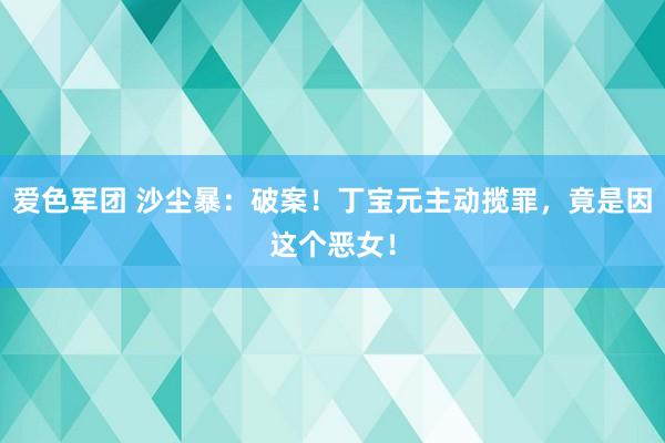 爱色军团 沙尘暴：破案！丁宝元主动揽罪，竟是因这个恶女！