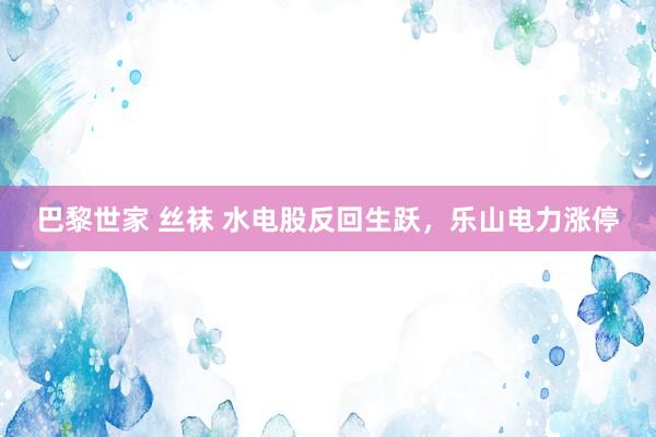 巴黎世家 丝袜 水电股反回生跃，乐山电力涨停