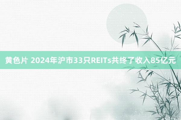 黄色片 2024年沪市33只REITs共终了收入85亿元