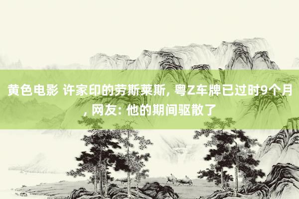 黄色电影 许家印的劳斯莱斯， 粤Z车牌已过时9个月， 网友: 他的期间驱散了