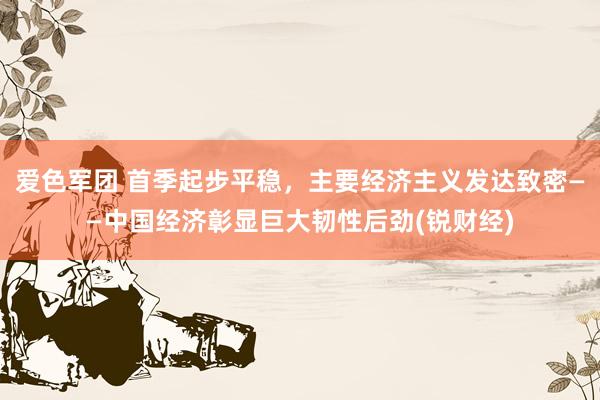 爱色军团 首季起步平稳，主要经济主义发达致密——中国经济彰显巨大韧性后劲(锐财经)