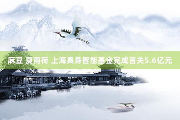 麻豆 夏雨荷 上海具身智能基金完成首关5.6亿元