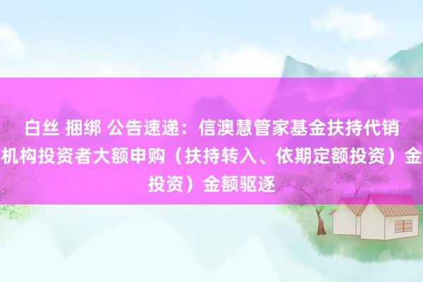 白丝 捆绑 公告速递：信澳慧管家基金扶持代销渠说念机构投资者大额申购（扶持转入、依期定额投资）金额驱逐