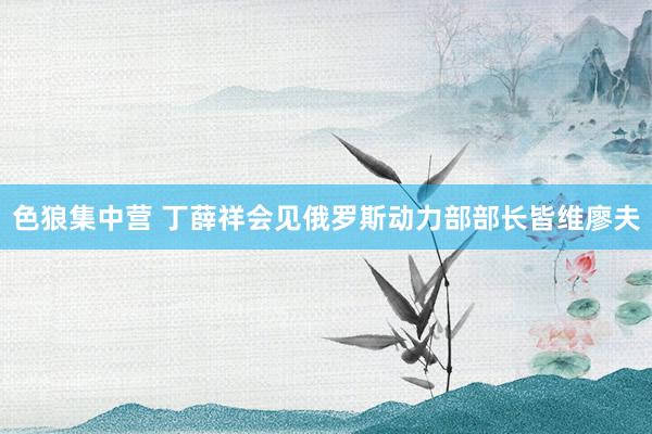 色狼集中营 丁薛祥会见俄罗斯动力部部长皆维廖夫