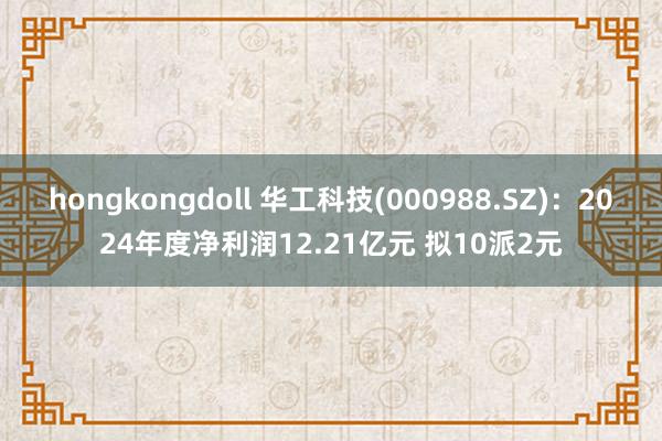 hongkongdoll 华工科技(000988.SZ)：2024年度净利润12.21亿元 拟10派2元