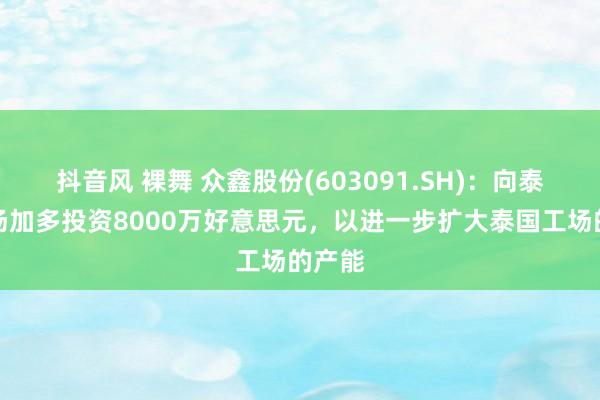 抖音风 裸舞 众鑫股份(603091.SH)：向泰国工场加多投资8000万好意思元，以进一步扩大泰国工场的产能